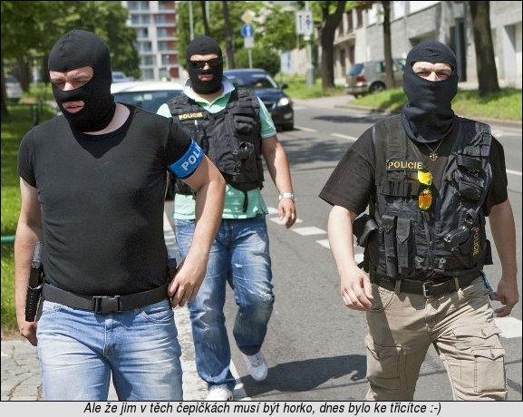 [Policie v akci]