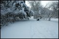 img005.jpeg.small.jpeg