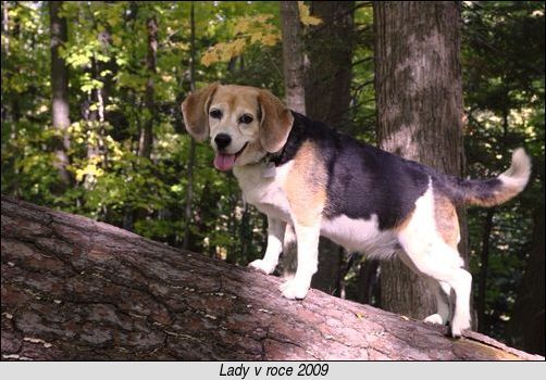 [Lady v roce 2009]
